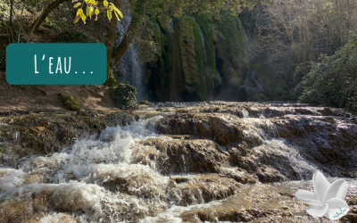 L’eau et ses bienfaits