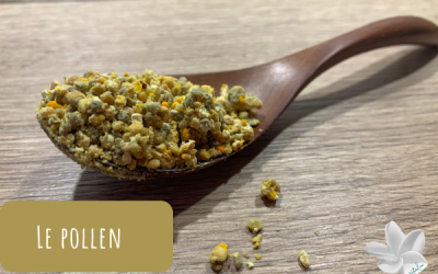 Le pollen et ses bienfaits
