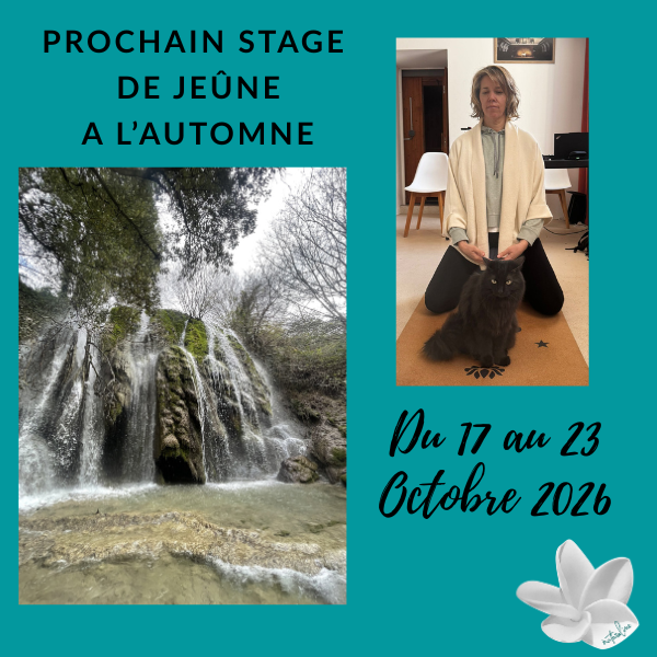 Affiche d’un stage de jeûne à l’automne avec cascade naturelle et accompagnement bien-être du 17 au 23 octobre 2026